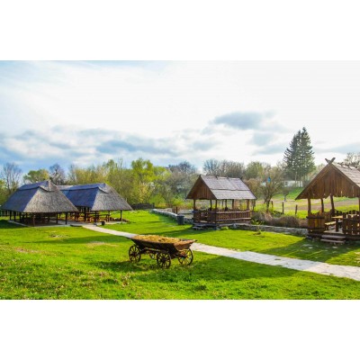 Первоцветы Холодного Яра