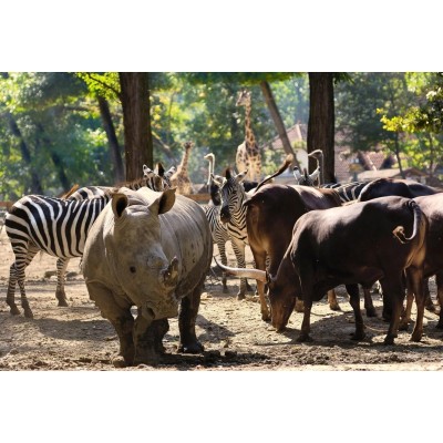 Выходные в Венгрии: путешествие в термальный рай