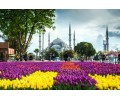 Экскурсионный тур в Стамбул из Полтавы