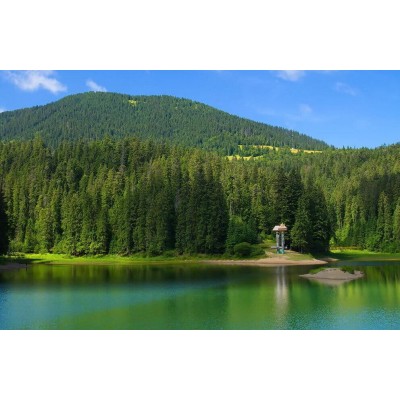 Невероятные воды Закарпатья